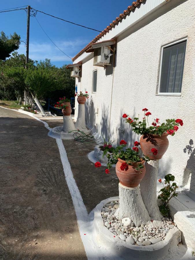 Apartamento B&D 1 Zóla Exterior foto