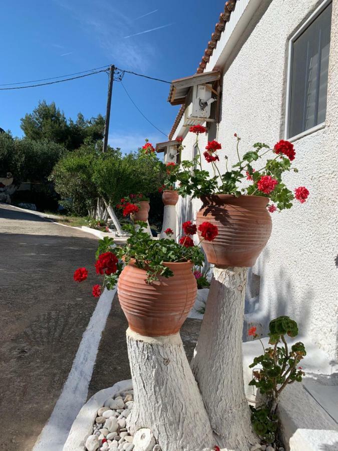 Apartamento B&D 1 Zóla Exterior foto